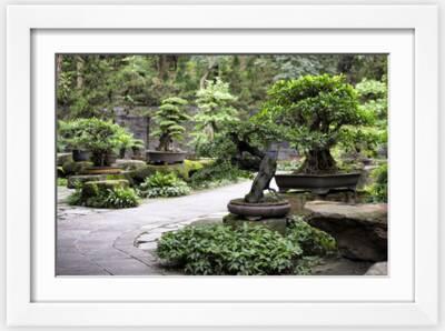 Bonsai Paintings & Wall Art Prints | Art.com