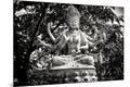 Premium Photographic Print