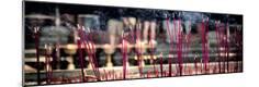 Premium Photographic Print