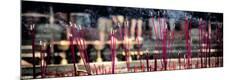 Premium Photographic Print