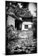 Premium Photographic Print