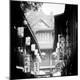 Photographic Print