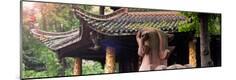Photographic Print
