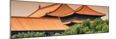 Premium Photographic Print