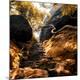 Photographic Print