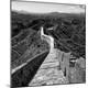 Premium Photographic Print