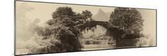 Photographic Print