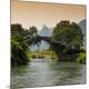 Premium Photographic Print