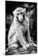 Premium Photographic Print