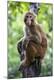 Premium Photographic Print