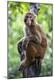 Premium Photographic Print