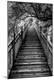 Premium Photographic Print
