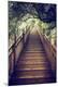 Premium Photographic Print