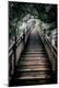Premium Photographic Print