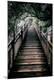 Premium Photographic Print