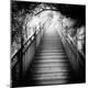 Photographic Print