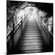 Premium Photographic Print