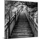 Premium Photographic Print