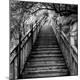 Premium Photographic Print