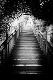 Premium Photographic Print