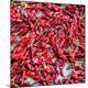 Premium Photographic Print