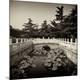 Premium Photographic Print