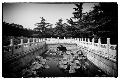 Premium Photographic Print