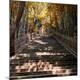 Premium Photographic Print