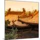 Premium Photographic Print