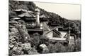 Premium Photographic Print