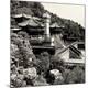 Premium Photographic Print