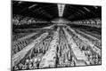 Premium Photographic Print