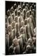 Premium Photographic Print