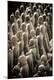 Premium Photographic Print