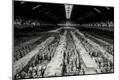 Premium Photographic Print