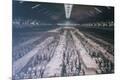 Premium Photographic Print