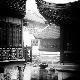 Premium Photographic Print