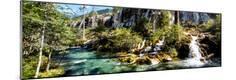 Photographic Print