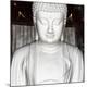 Premium Photographic Print