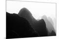 Premium Photographic Print