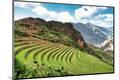 Premium Photographic Print
