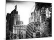 Photographic Print