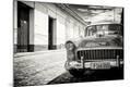 Photographic Print