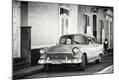 Photographic Print