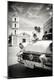 Photographic Print