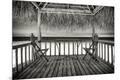 Premium Photographic Print