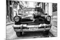 Photographic Print