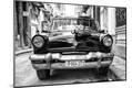 Photographic Print