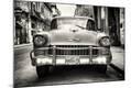 Photographic Print