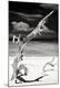 Premium Photographic Print